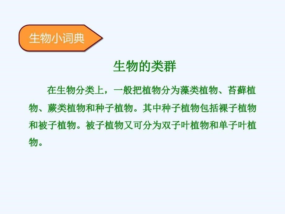 冀教版 七年级生物上册课件：1.5.2练习对生物进行鉴别（2）_第5页