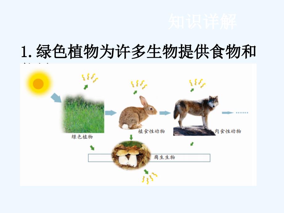 中考生物复习课件：4.第四节 绿色植物对生物圈有重大作用_第2页