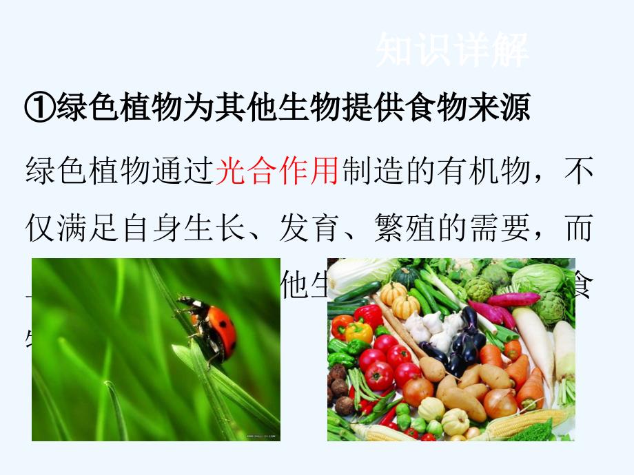 中考生物复习课件：4.第四节 绿色植物对生物圈有重大作用_第3页