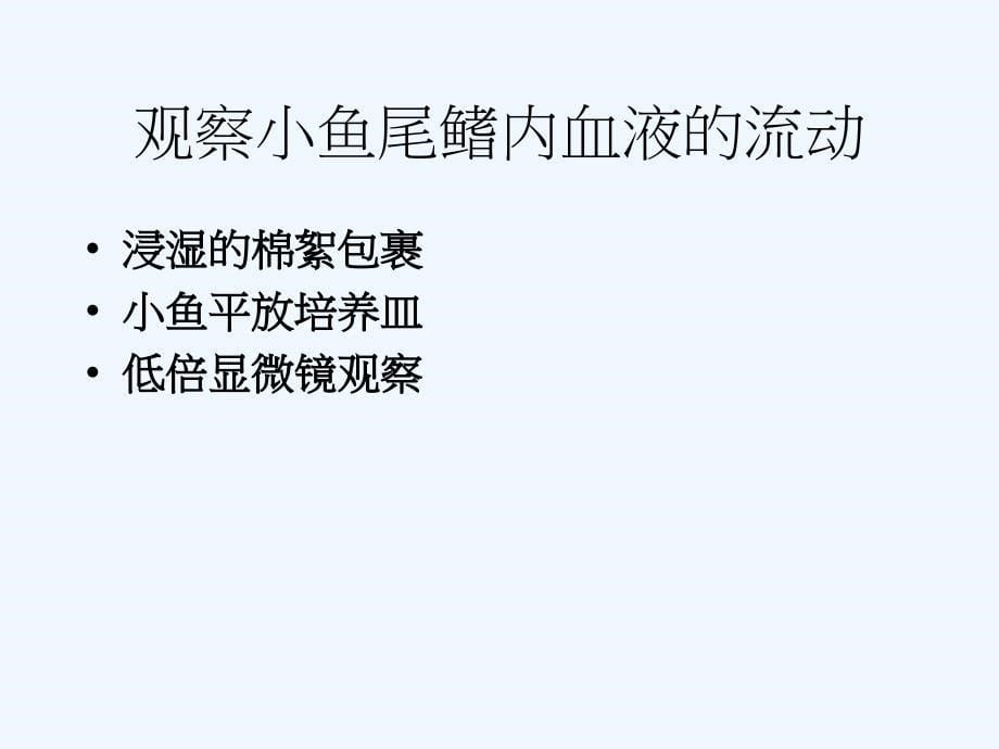 七年级生物下册 第二节 血流的管道—血管课件 苏教版_第5页