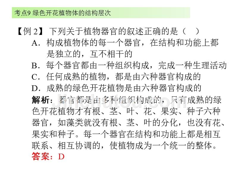 广东省中考生物复习考点课件 考点9 绿色开花植物体的结构层次_第3页