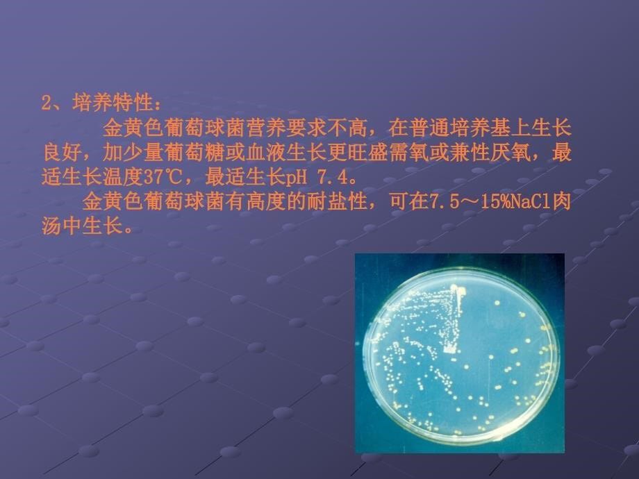 课件：金黄色葡萄球菌检测方法_第5页