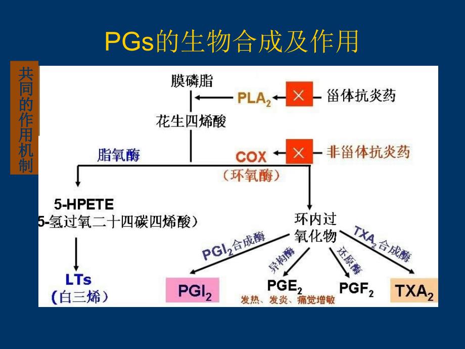 课件：解热镇痛抗炎药和抗痛风药讲解_第2页