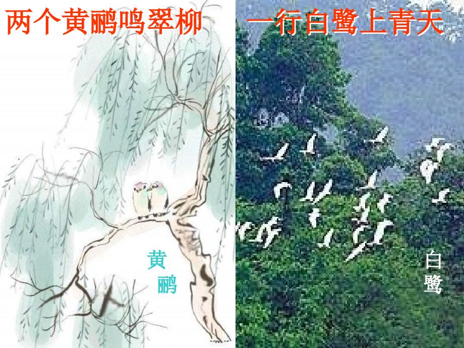 生物：北师大版八年级上：第17章第1节《动物在生物圈中作用》精品课件_第2页