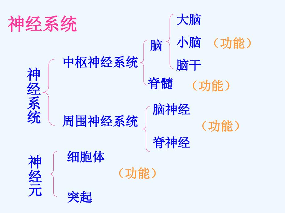 湖北省武汉为明实验学校七年级生物下册《神经调节的基本方式》课件 新人教版_第1页