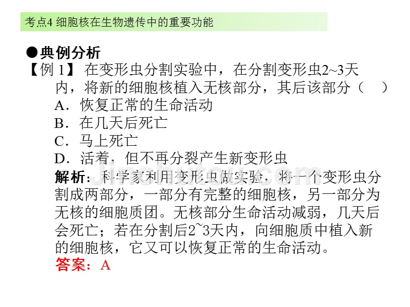 广东省中考生物复习考点课件 考点4 细胞核在生物遗传中的重要功能_第4页