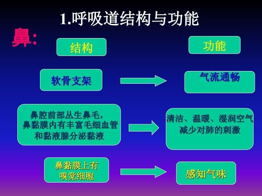 课件：人体细胞获得氧气的过程优秀课件_第5页