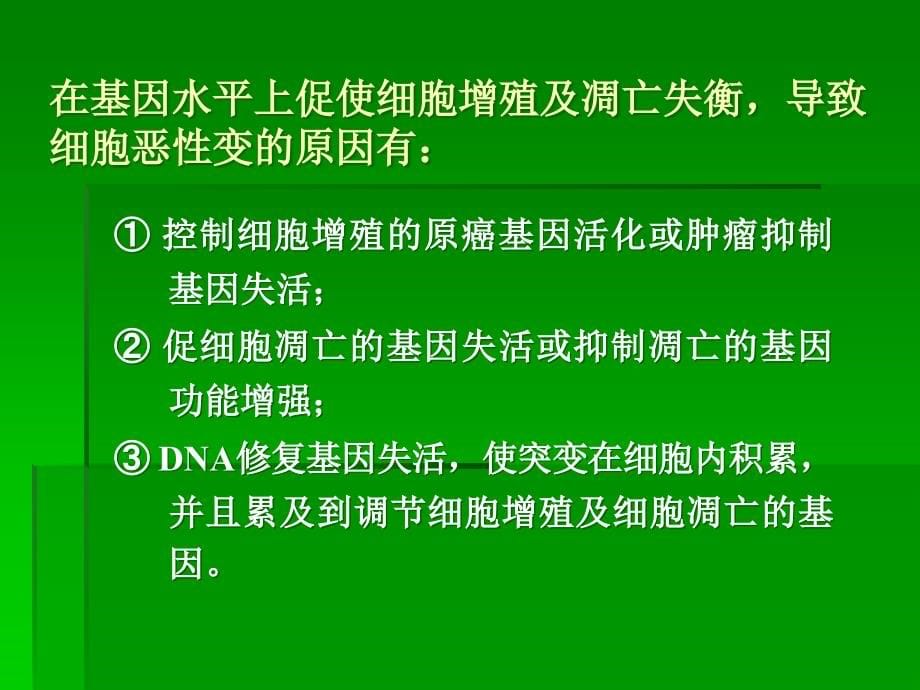 课件：癌基因肿瘤抑制基因与生长因子ppt_第5页