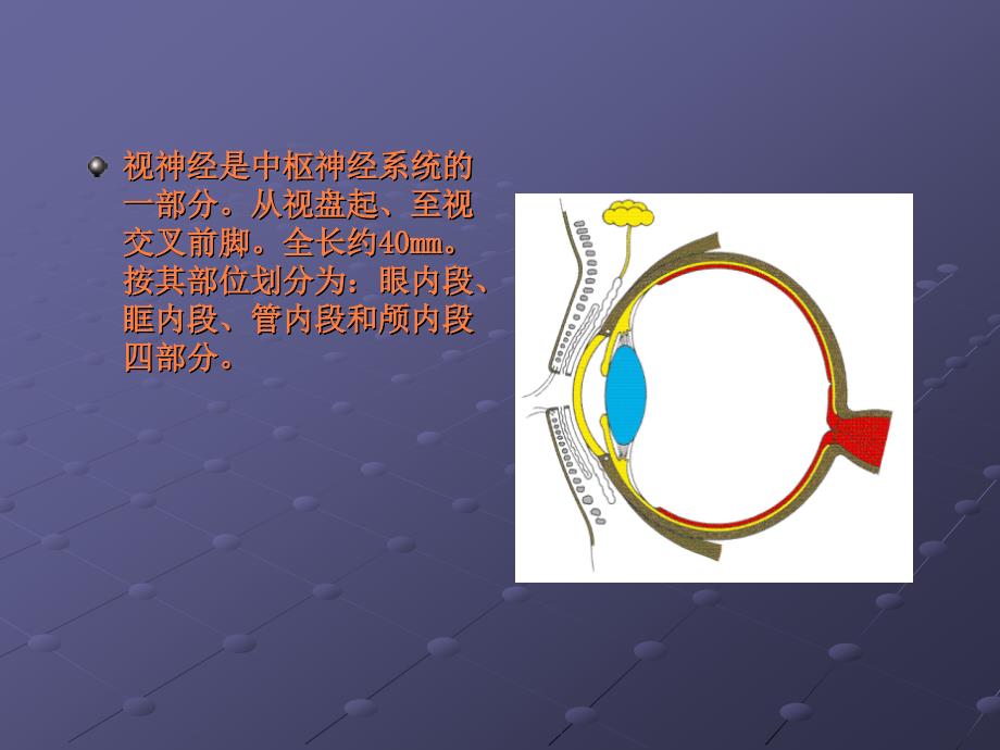 课件：第十五章-视神经及视路疾病_第3页