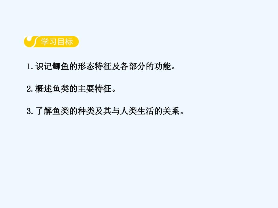 河北少儿版七年级生物上册课件：第四章第六节  鱼类 _第2页