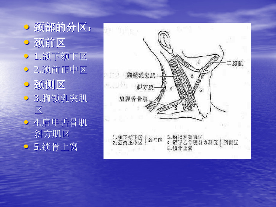 课件：甲状腺、乳腺疾病-07全解_第3页