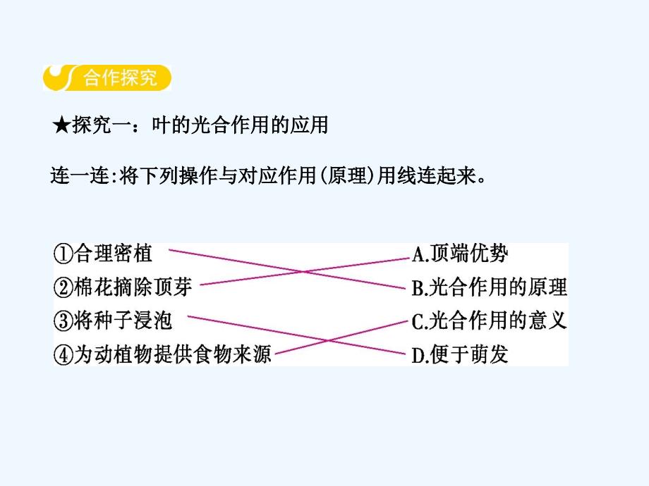 （冀教版）八年级生物上册课件：3.3.第一节  光合作用的产物_第3页