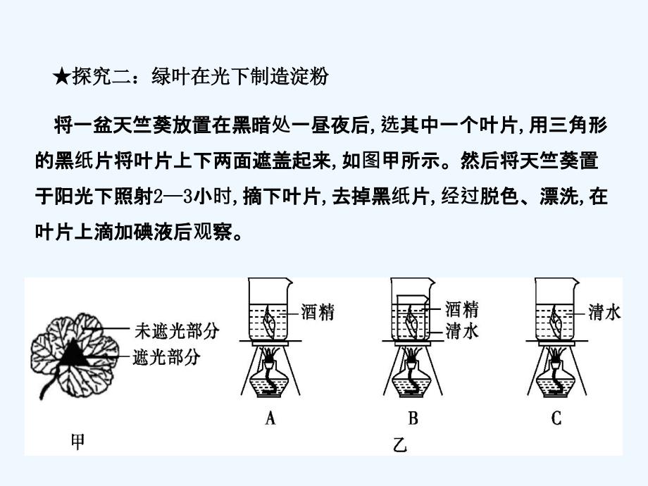 （冀教版）八年级生物上册课件：3.3.第一节  光合作用的产物_第4页