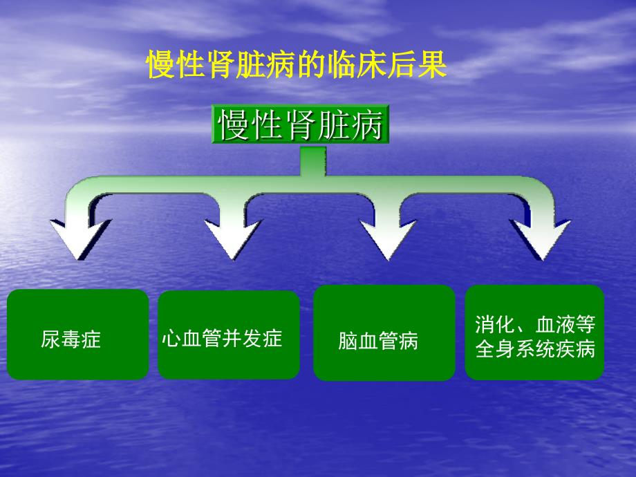 课件：ckd进展危险因素的干预_第3页