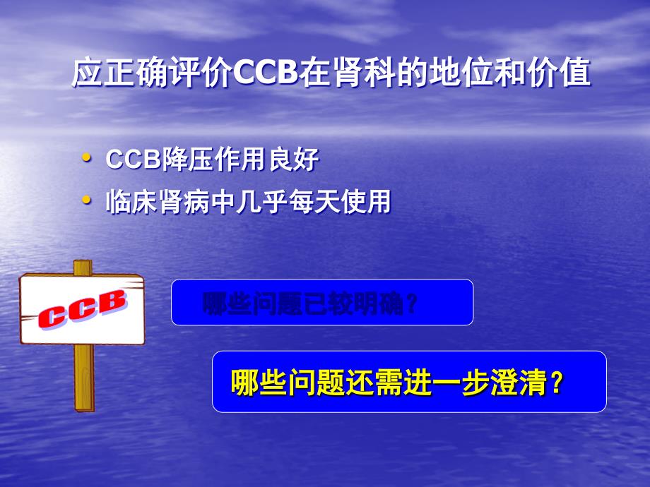 课件：ccb在肾病高血压应用的问题与澄清_第2页