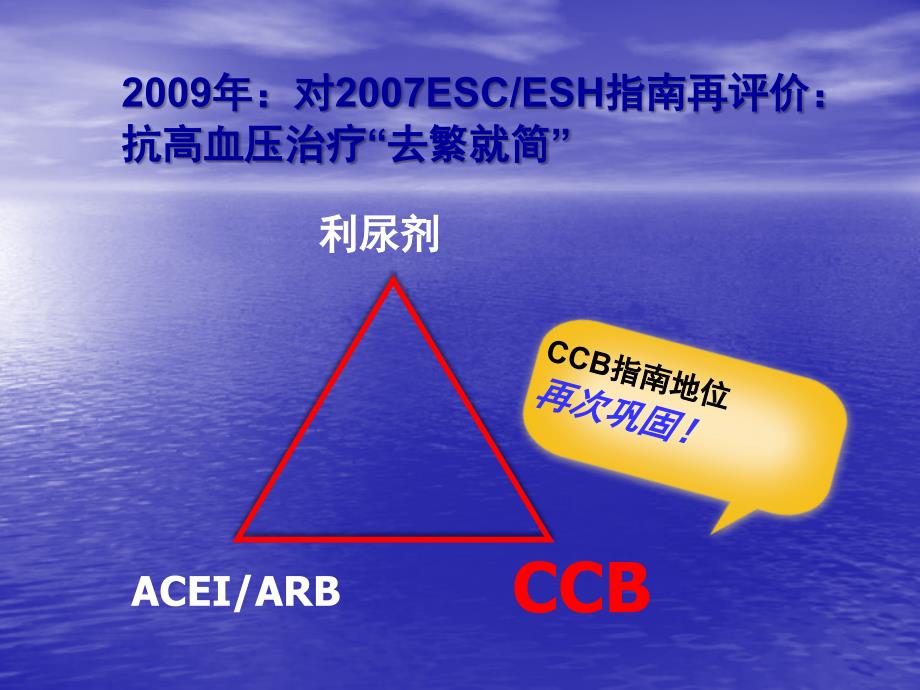 课件：ccb在肾病高血压应用的问题与澄清_第4页