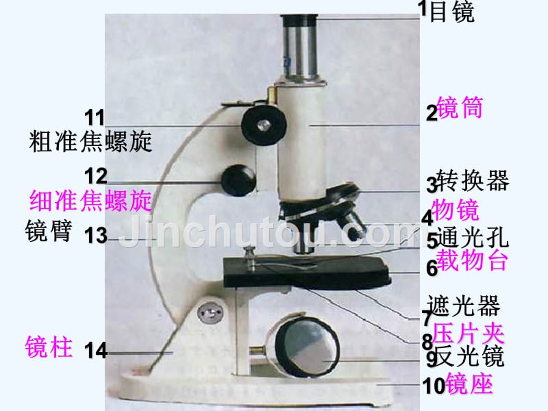 （人教版）生物七年级上：2.1.1《练习使用显微镜》ppt课件（3）_第2页