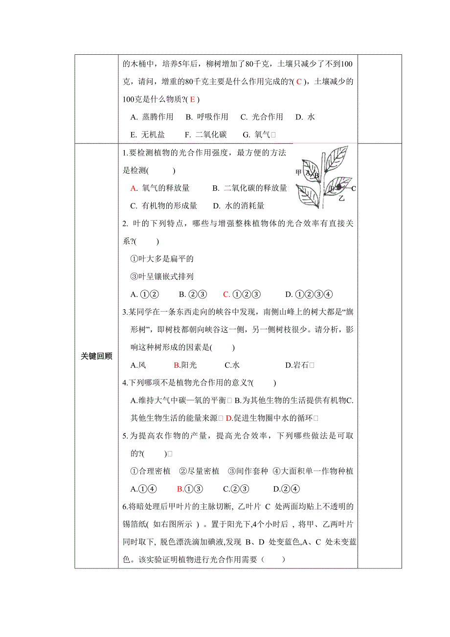 济南版生物七年级上册教案：3.3 绿色植物的光合作用_第4页