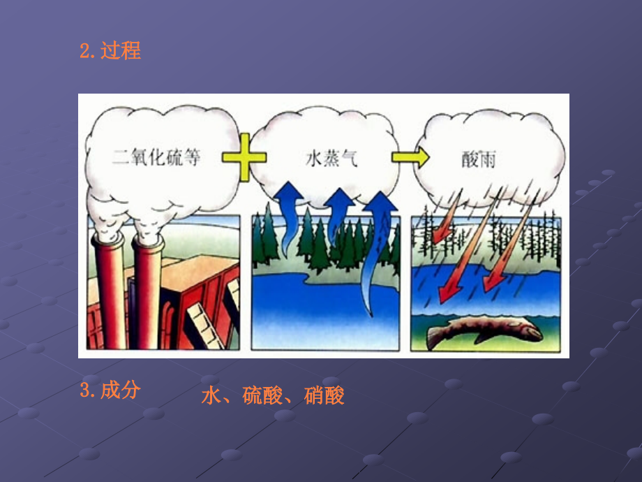 课件：第二节_探究环境污染对生物的影响人教版_第4页