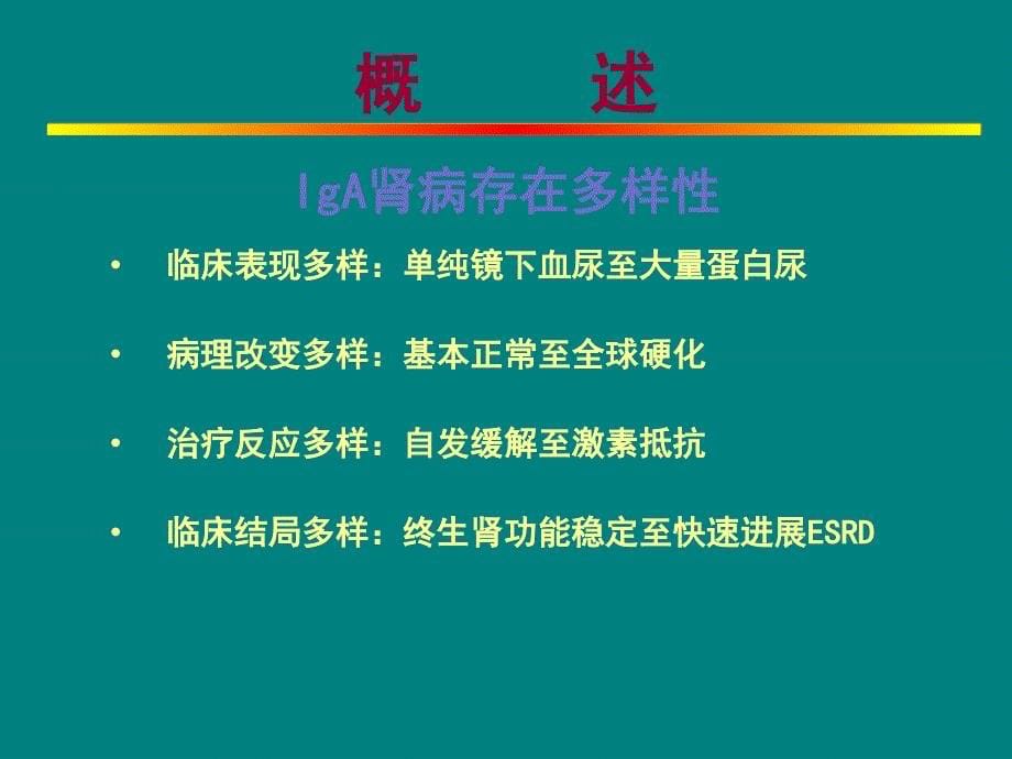 课件：iga肾病治疗_第5页