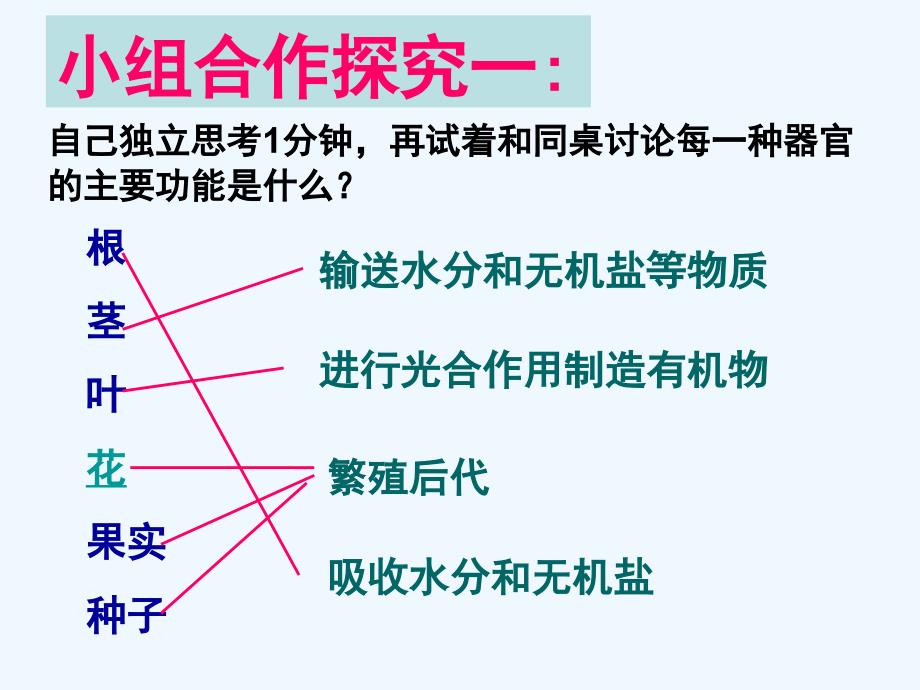 山东省泰安市泰山区泰前中学七年级生物上册《动植物体的结构层次》课件 新人教版_第4页