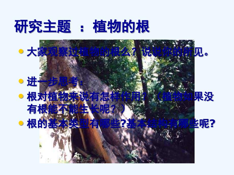 湖北省汉川实验中学七年级生物 营养器官的生长（课件）_第2页
