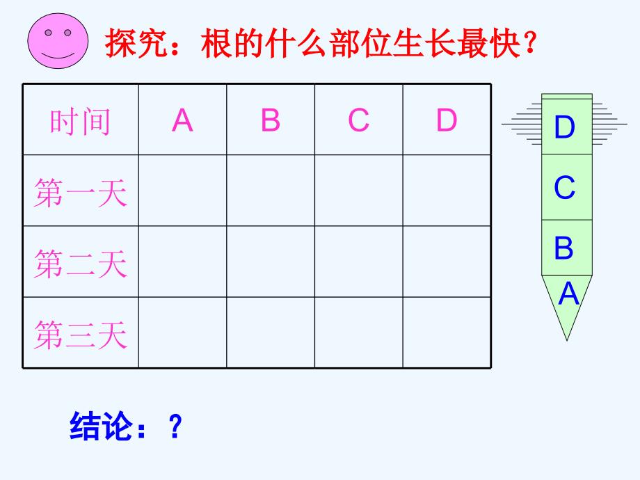 河北省石家庄市平山县第二中学七年级生物上册《第三单元 第二章 第二节 植株的生长》课件 新人教版_第4页