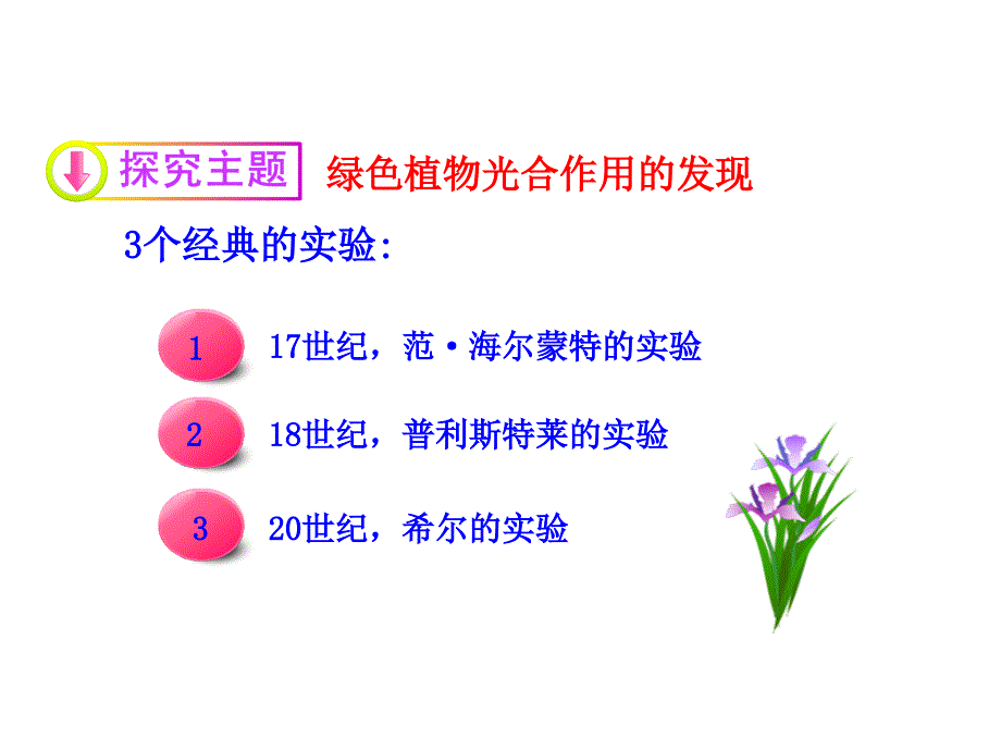 苏教版生物七年级上课件：第6章第一节  植物光合作用的发现_第4页