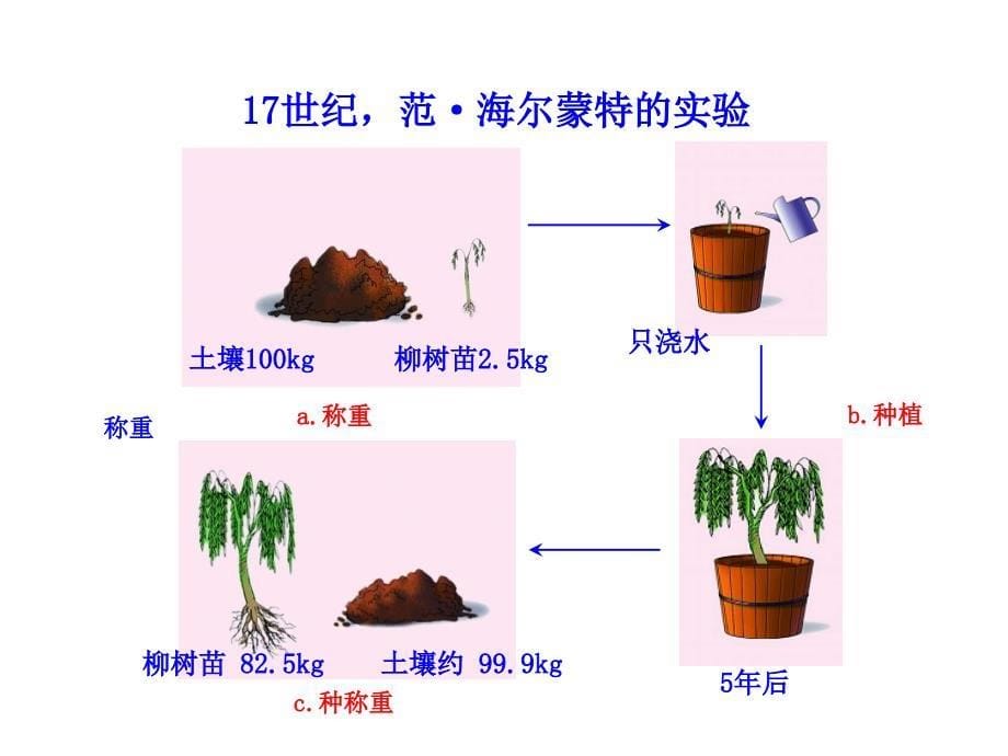 苏教版生物七年级上课件：第6章第一节  植物光合作用的发现_第5页