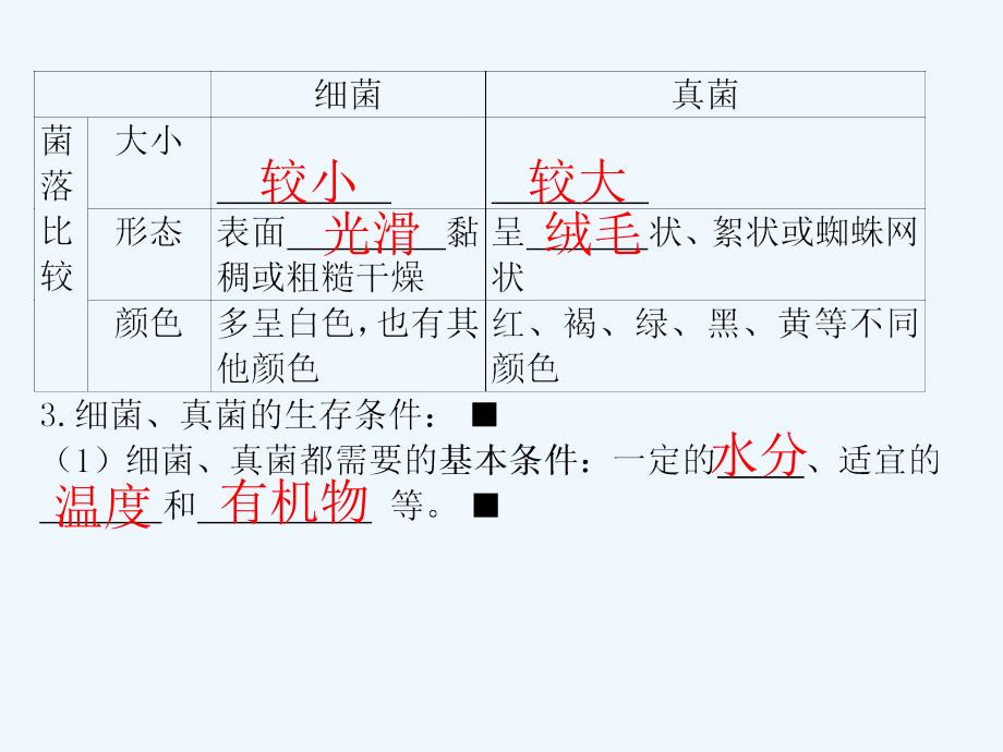 广东中考高分突破生物复习课件：第五单元-第四、五章  细菌和真菌、病毒_第3页