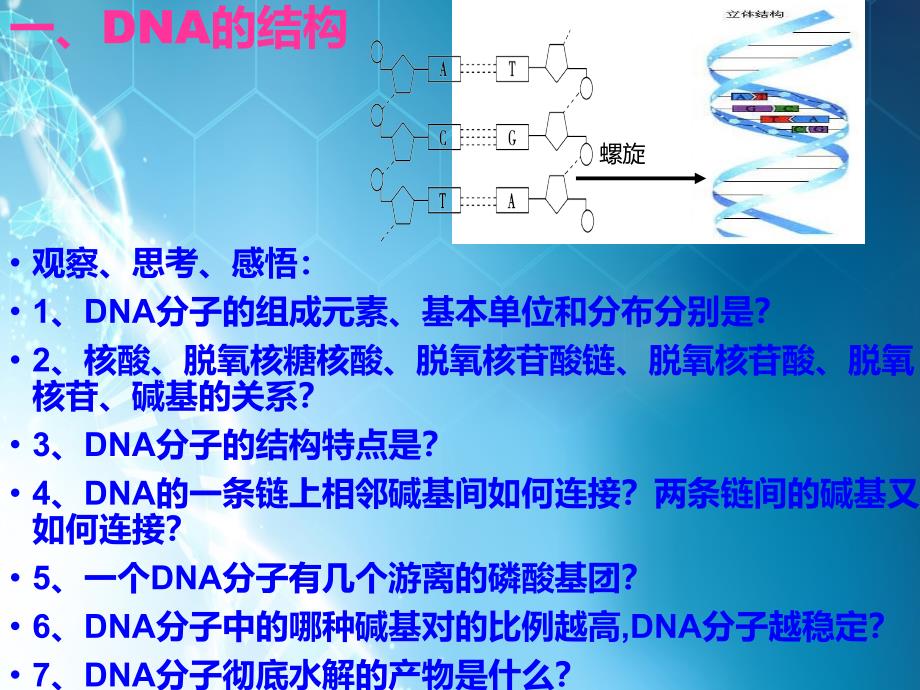 课件：遗传的分子基础_第3页