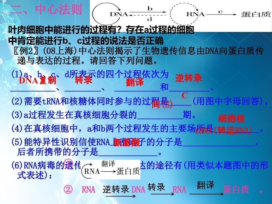 课件：遗传的分子基础_第5页