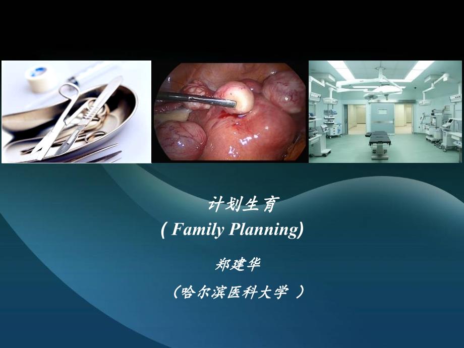 计划生育( family planning)_第1页