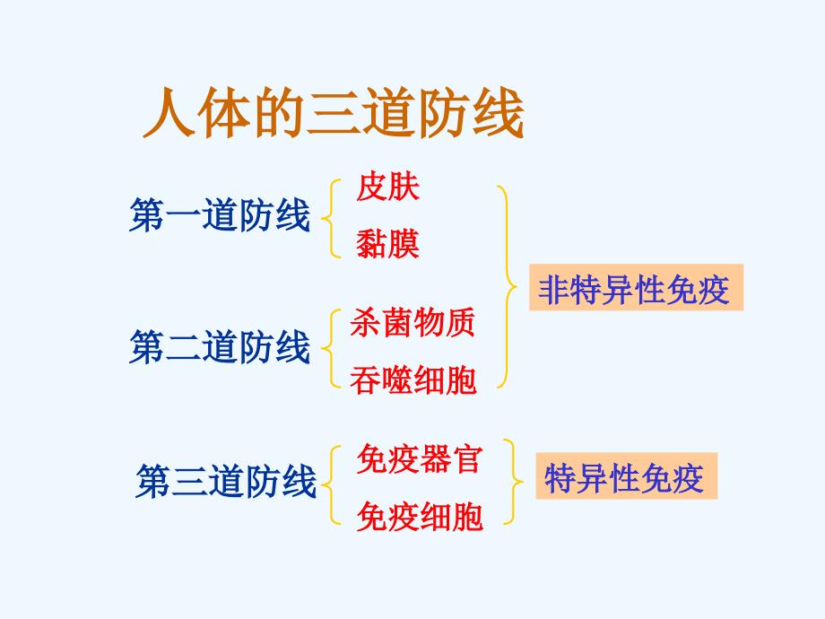 济南版生物七年级下册复习课件 免疫复习_第4页