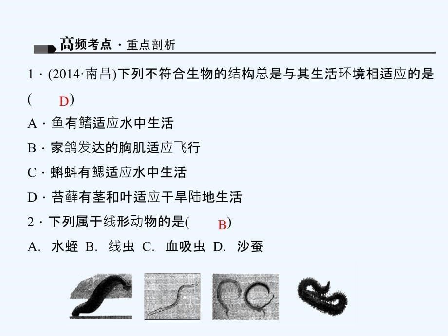 聚焦中考生物习题课件：专题6　动物的主要类群、动物的运动和行为_第5页