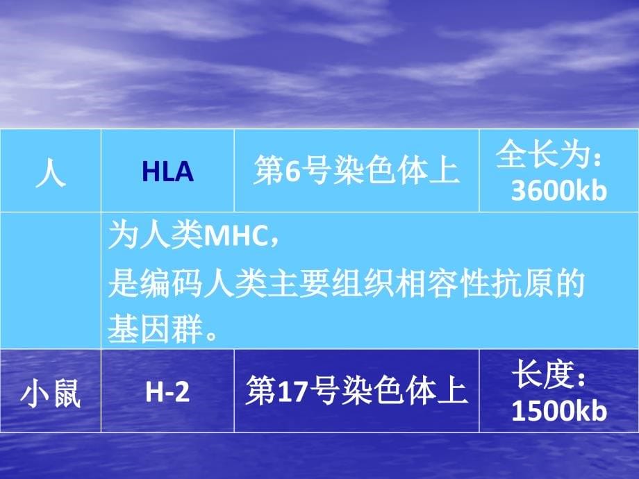 课件：免疫学第八章mhc分子组织相容性基因复合体_第5页