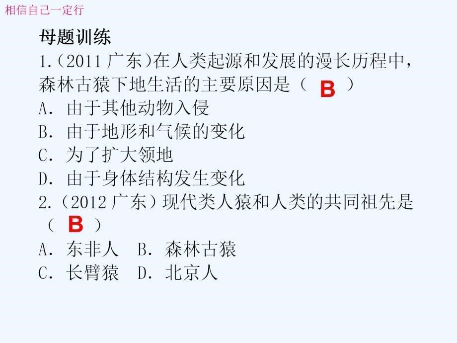 广东省中山市黄圃镇中学人教版生物中考复习课件：第四单元-第一章  人的由来_第5页