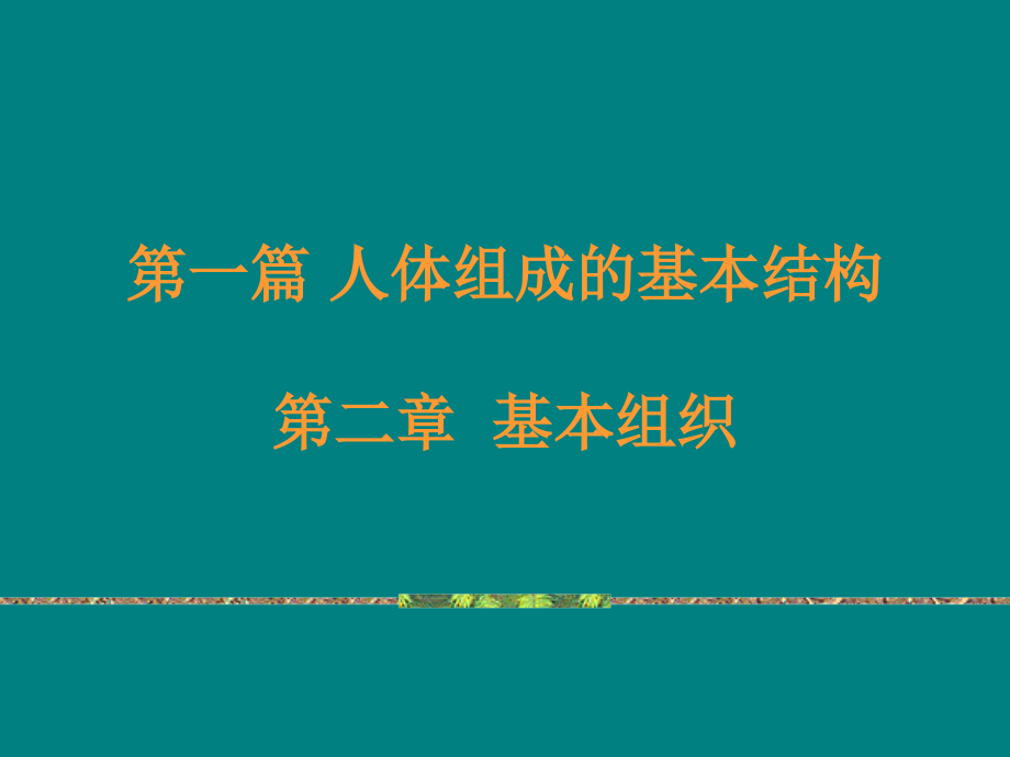课件：基本组织_第1页