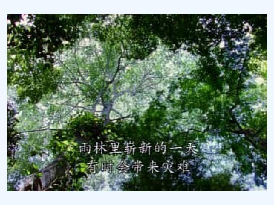 甘肃专用：苏教版生物七年级上6.3《植物光合作用的实质》课件_第3页