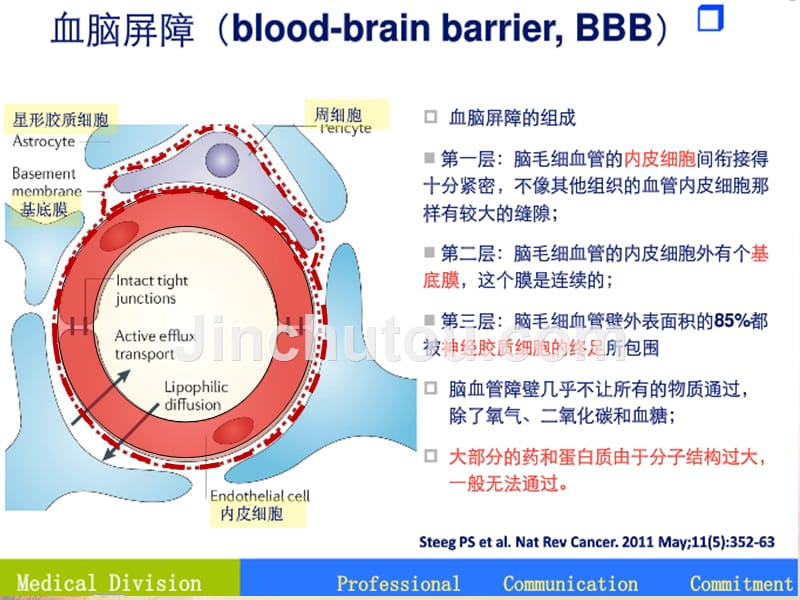 课件：埃克替尼脑转移治疗_第4页