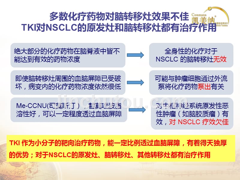 课件：埃克替尼脑转移治疗_第5页