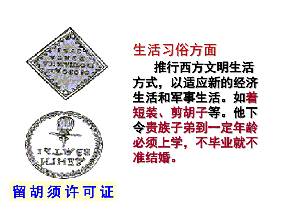 浙江省宁波市慈城中学历史与社会（人教版）八年级下册：第七单元 第三课-俄国改革_第3页