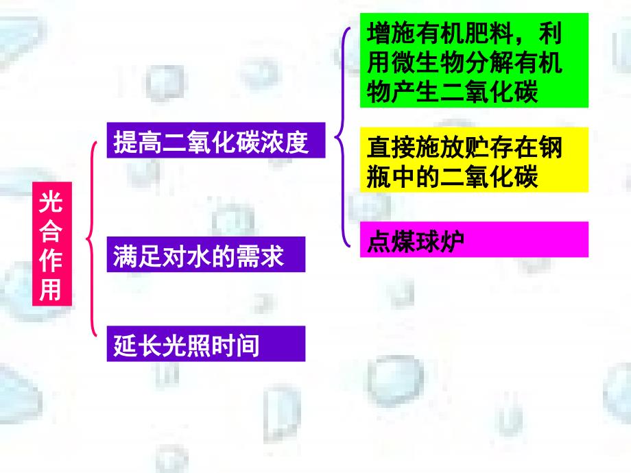 甘肃省瓜州县第二中学七年级生物上册课件：总第42课时_第4页