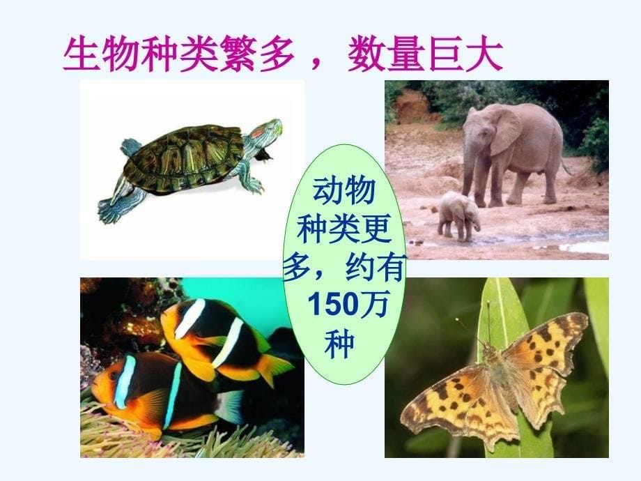 江苏地区 苏教版生物七年级上课件：1.1.1《我们周围的生物》(1)_第5页