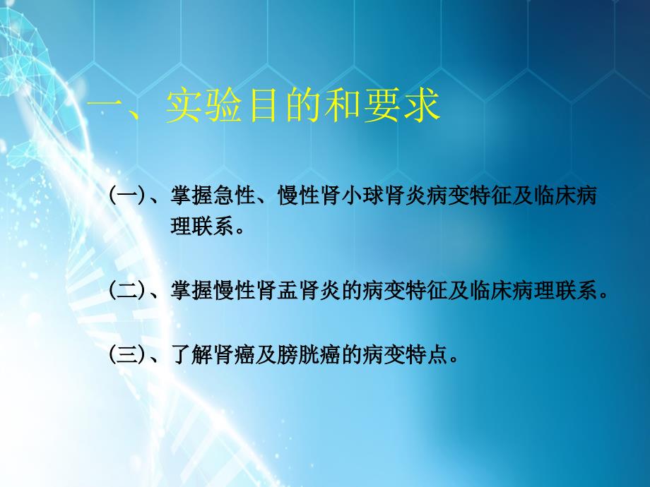 课件：掌握急性慢性肾小球肾炎病变特征及临床病理联系_第2页