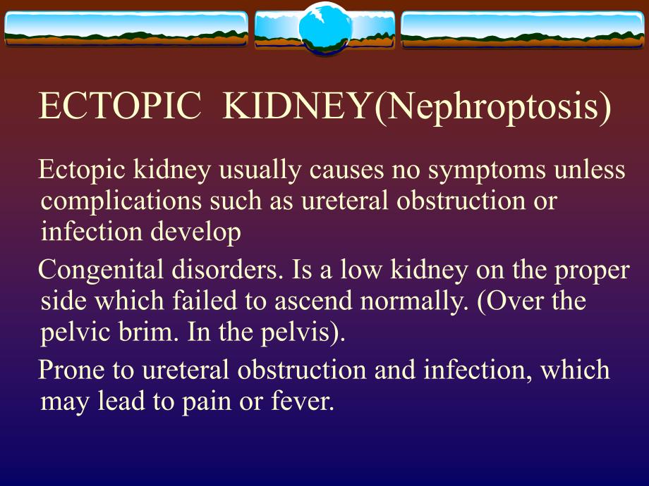 ectopic  kidney(nephroptosis)异位肾_第1页