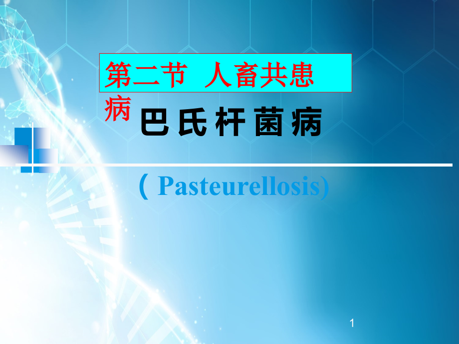课件：巴 氏 杆 菌 病_第1页
