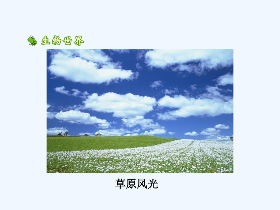 生物：第7章第3节拟定保护生态环境的计划课件（人教版七年级下）_第2页