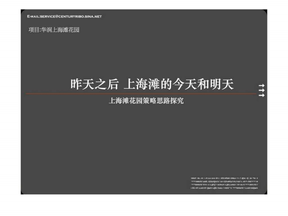 世纪瑞博-华润上海滩花园项目广告推广策略报告_第3页