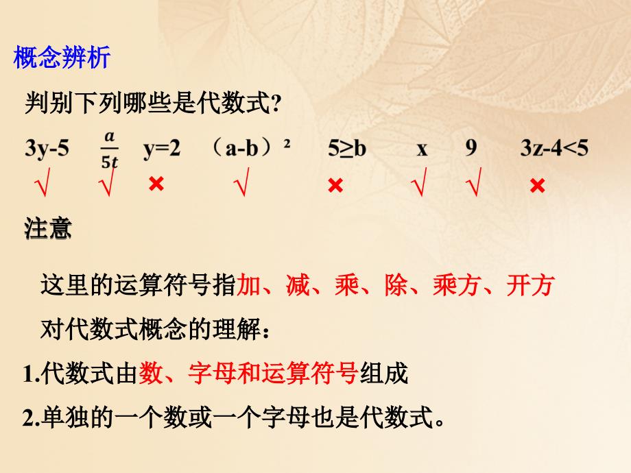 七年级数学上册第三章整式及其加减3.2代数式课件新版北师大版_第4页